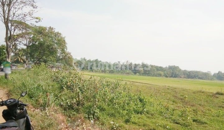 Tanah Di Cikedokan Cikarang Barat Dekat Dengan Pt Argo Pantes