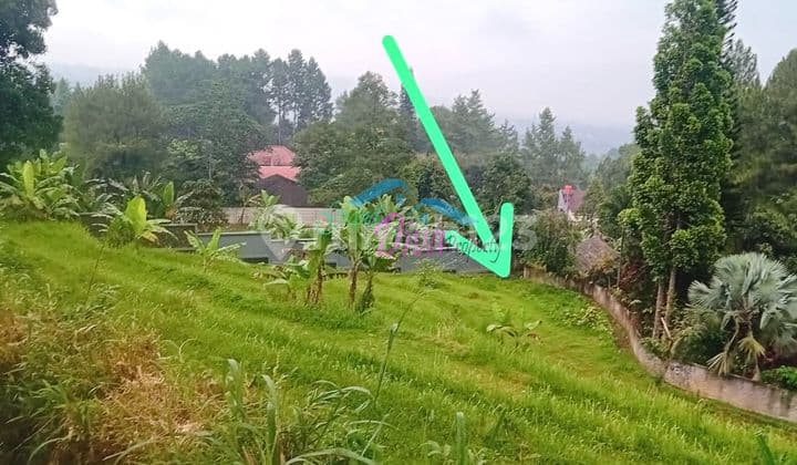 TANAH SAWAH SHM DIJUAL MURAH, LOKASI DEKAT DENGAN VILLA IKAN DI CILEMBER, CISARUA BOGOR