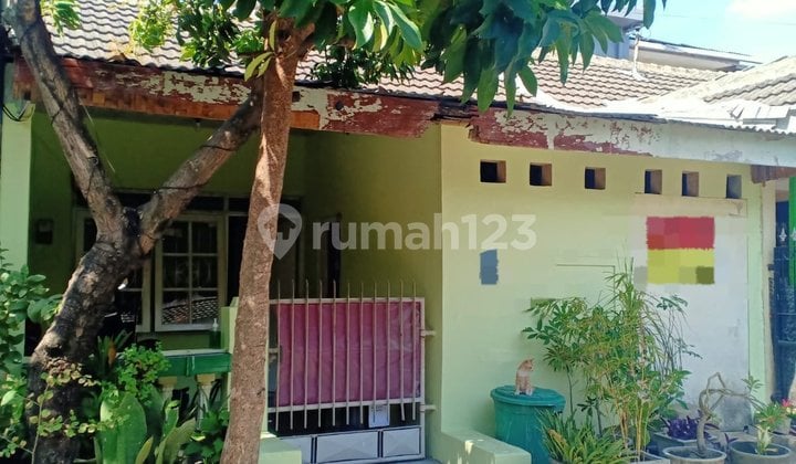 Dijamin Murah Nego Sampai Deal Rumah Siap Huni di Babatan Pilang Surabaya Barat