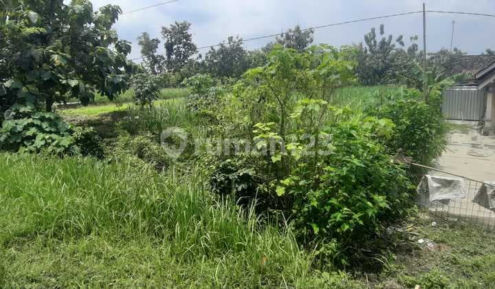 Dijual Tanah Lokasi Strategis Pinggir Jalan Provinsi di Mondokan Sumberlawang Sragen