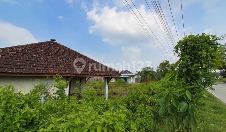Dijual Tanah Cocok untuk Dibangun Usaha di Nganjuk Jawa Timur
