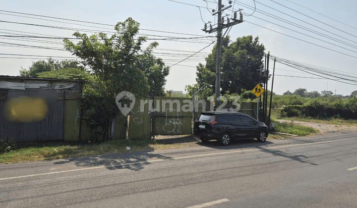 Land size 5237 m2 in a strategic location in Mojoagung area, Jombang