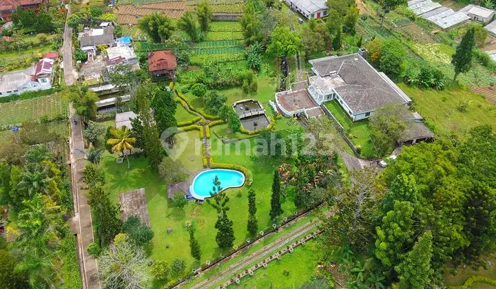 Dijual Villa Catnik di Cimacan. Cipanas. Bogor