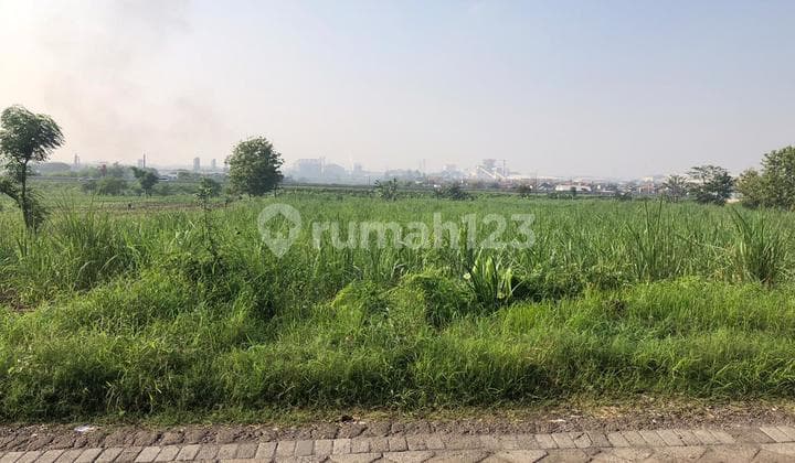 Dijual Tanah Driyorejo Sumput Loksi Dkt Pabrik Top Silver Pt Wika