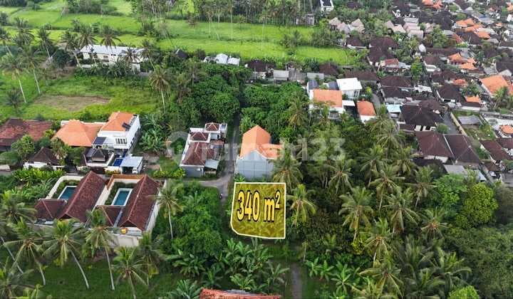 Tanah plot kecil lingkungan villa - lod tunduh, ubud