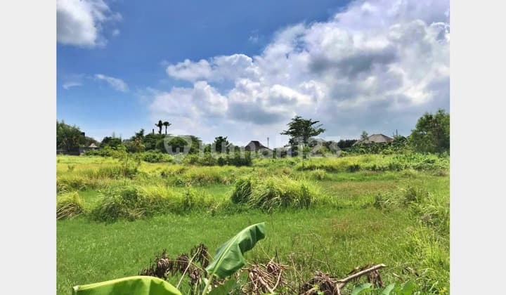 Tanah View Sawah Lingkungan Villa di Umalas