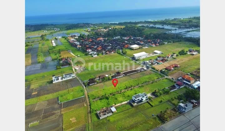 Sebidang Tanah View Sawah Dekat Pantai di Kawasan Pantai Kedungu