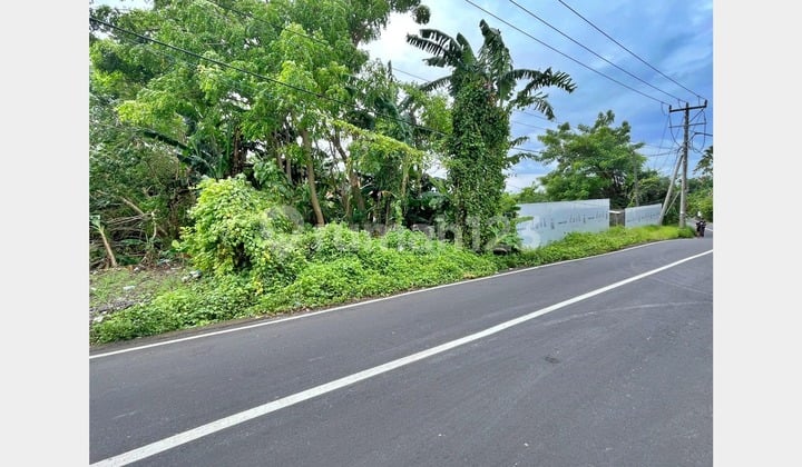 Land for Sale on Jalan Utama Raya Tumbak Bayuh - Canggu