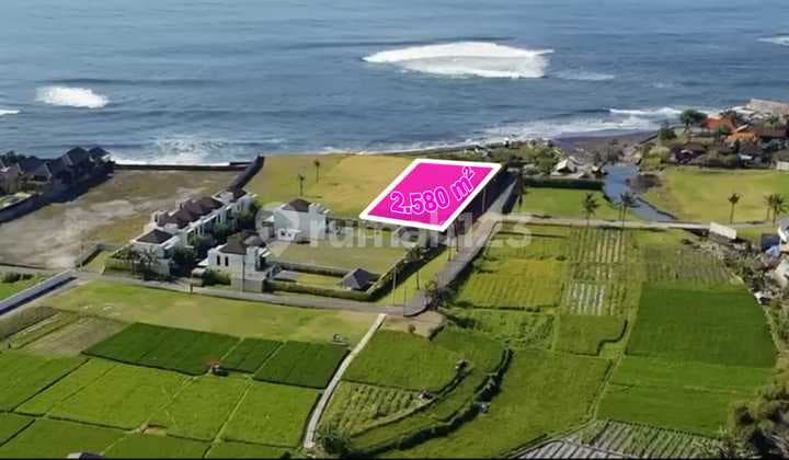 Land of Los Pantai Environmental Villa in a Developing Area