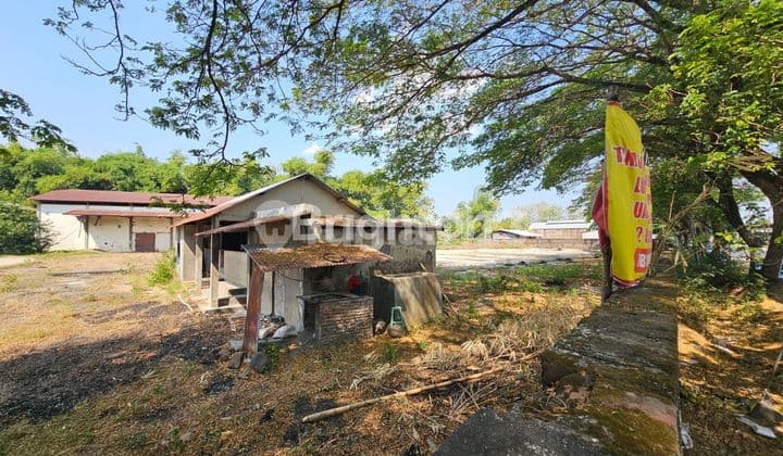 GUDANG EX SELEP PADI RAYA NGANJUK COCOK UNTUK INDUSTRI