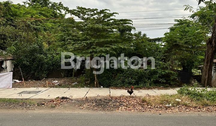 LOKASI STRATEGIS NOL JALAN RAYA JUANDA LAMA DEKAT SURYA INTI