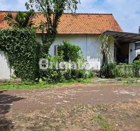 Rare Listing - Tanah Luas di Kedurus, Harga Menarik!