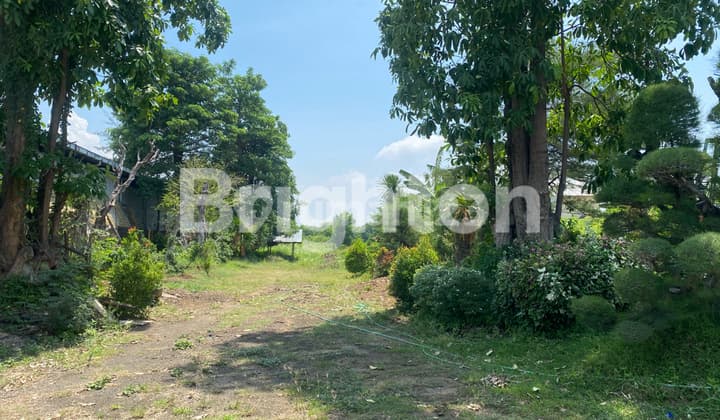 TANAH DAERAH TAMBAK REJO NOL JALAN PROPINSI