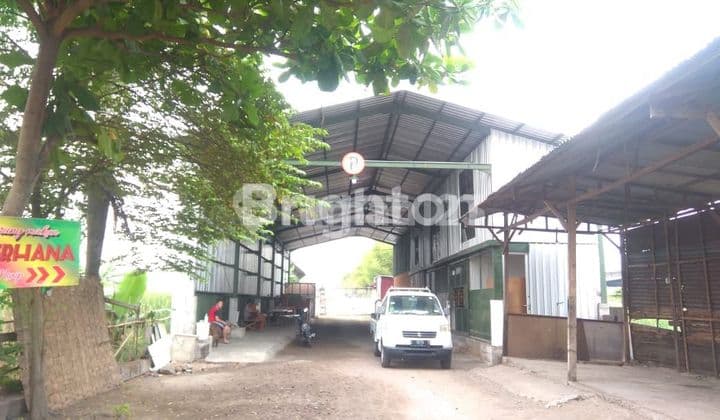 GUDANG DI AREA KOMERSIAL (JALAN PROVINSI), JALAN RAYA KEDAMEAN GRESIK