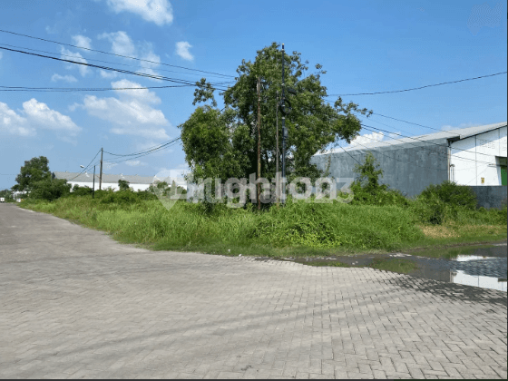 Tanah Komplek Pergudangan di Romokalisari Surabaya