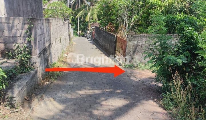 TANAH DIJUAL AREA BADUNG MENGWI BALI