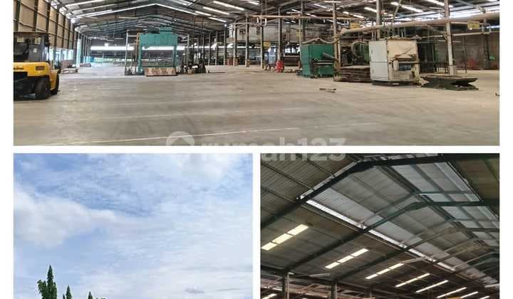 Investor Alert - Pabrik Besar di Raya Pasuruan Siap Take Over | Kosongan | Nilai Tanah & Bangunan Sangat Kuat