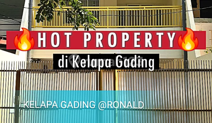 Harga MIRING Rumah Kelapa Gading Janur Kuning Harga MIRING Rumah Kelapa Gading Janur Kuning