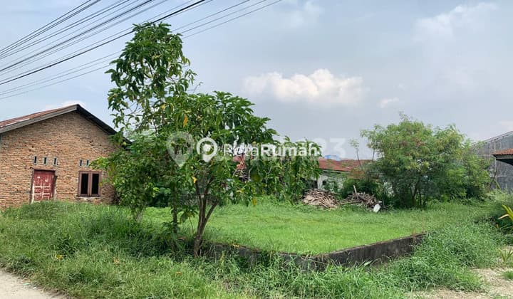 TANAH JALAN MARELAN 3 | DAERAH TERJUN