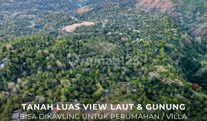 Tanah Luas 1 Hektar View Laut & Gunung di Buleleng - Bali