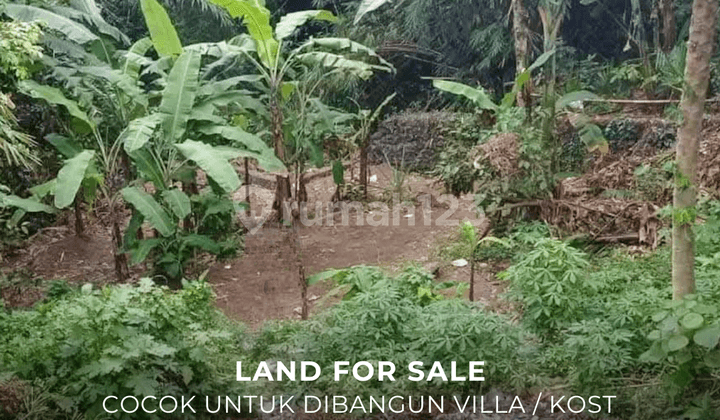 Dijual Tanah Cocok untuk Dibangun Villa atau Kost di Badung Bali