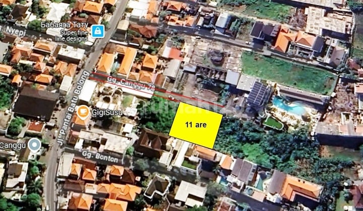 Tanah Langka Luas 1100m2 Di Area Batu Bolong Beach , Canggu..100 Meter Ke Gigi Susu Dan 650 Meter Ke Old Mans