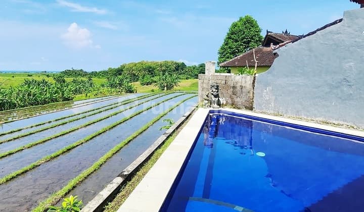 Villa Cantik View Sawah Di Kelanting , Kerambitan Tabanan ..5 Menit Pantai Kelanting Dan Alila Soori