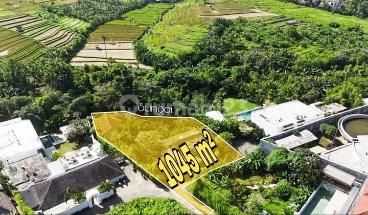 Murahhhhh...Tanah Luas 10.45 Are dengan View Sawah Green Belt di Padonan Canggu ...18 Menit ke Atlas Beach Club