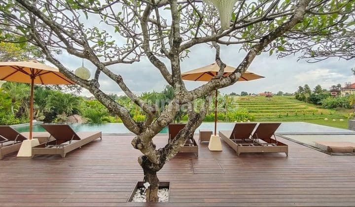 Turun Harga...villa With Rice Field View And Massive Garden At Babakan Canggu.... Just 12 Minutes To Batubolong And Echo Beach , 15 Minutes To Pererenan Beach And 20 Minutes To Berawa Beach And Atlas Beach Club