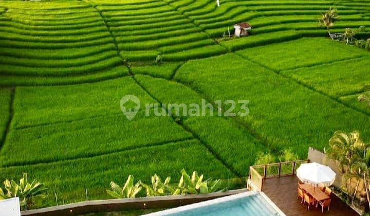 Turun Harga....beautiful Luxury Villa With Green Belt Paddie View At Babakan Canggu..12 Minutes To Batu Bolong Beach, Echo Beach And Pererenan Beach....15 Minutes To Atlas Beach Fest And Finns Beach Club