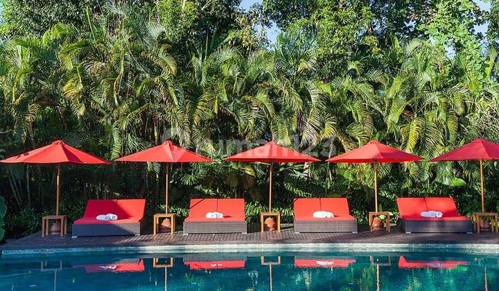Turun Harga..murahhhhhh...beautiful Villa Contemporary Tradisional Bali Style Living With Tennis Court At Berawa Canggu...near To Berawa Beach , Atlas Beach Fest , Canggu Club...(*sangat Murah Dibawah Harga Pasaran Tanah Di Pusat Berawa Canggu)
