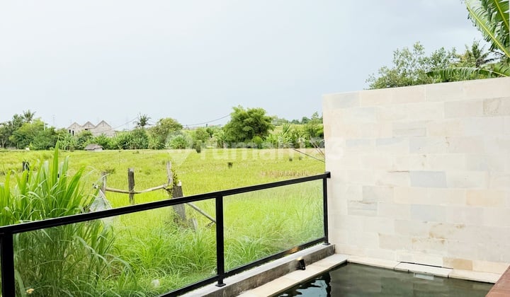 Modern Minimalist Style New Villa with Rice Field View in Cepaka Munggu, Tumbak Bayuh Pererenan Canggu... 15 Minutes to Pererenan Beach and 20 Minutes to La Brisa Beach Club