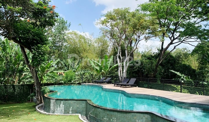 Luxury Modern Tropical Style Villa At Batu Bolong , Canggu ...Near To Many Restaurant , Cafe , Boutique And Life Style Spot