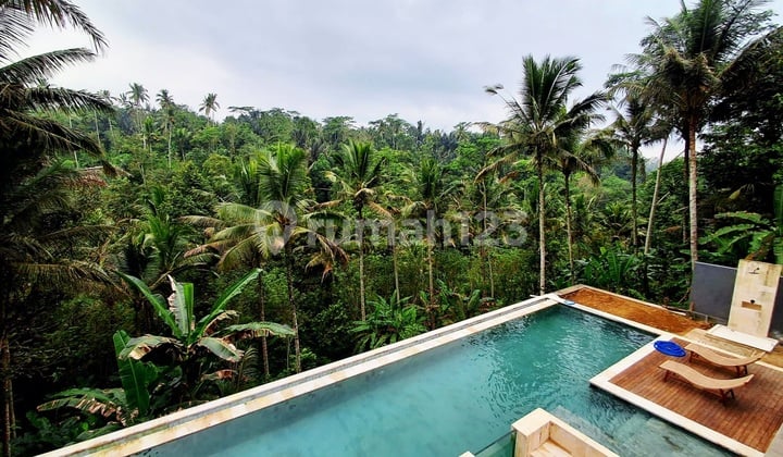 Villa Mewah Minimalis Modern Style dengan View Jungle di Tampaksiring Dekat Ubud ... Sekitar 20 Menit ke Ubud Palace dan Mongkey Forest