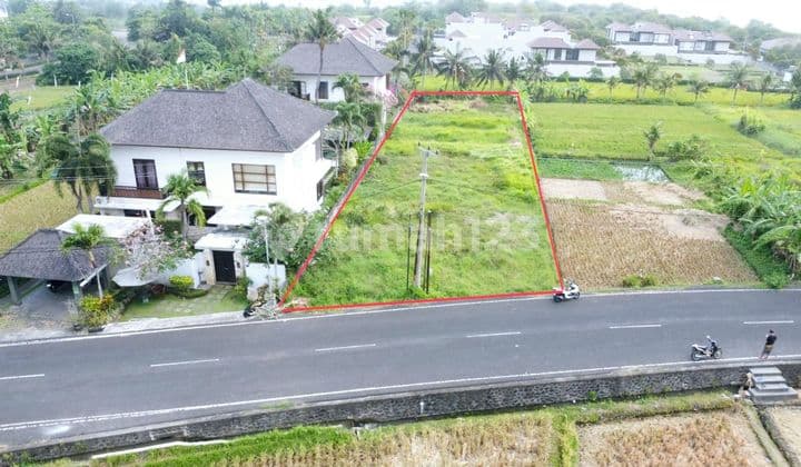 Land 1,250m2 (12.5 Are) in Pangkuh Tibah, Kediri Tabanan...only 1 minute to Ciputra Beach Resort.