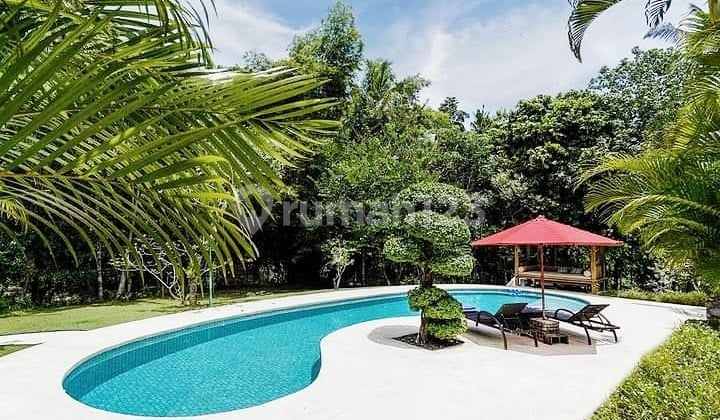 Beautiful Villa River Front With Large Garden At Yeh Gangga ,Tabanan...10 Minutes To Pantai Yeh Gangga And 30 Minutes To Canggu