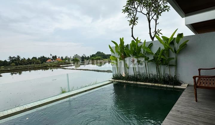 Turun Harga ..Modern Minimalis Style View Sawah di Singakerta , Ubud.. 10 Menit ke Central Ubud