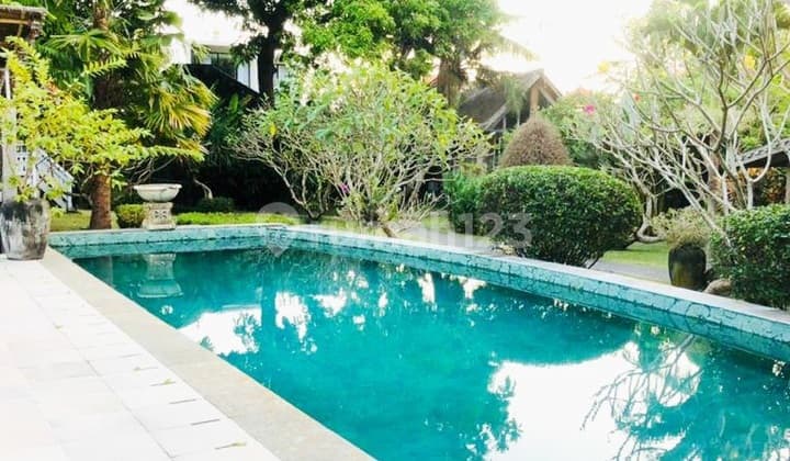 Tanah Murah....sangat Murahh Di Area Jalan Pdang Linjong , Batu Mejan Echo Beach..4 Menit Ke Gigi Susu Dan 5 Menit Ke La Brisa Beach Club