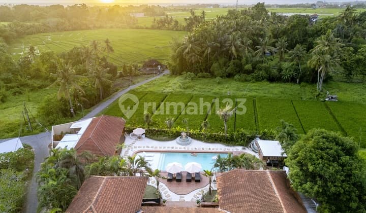 Luxury Villa With Spanish Style At Kedungu , Near Canggu ...9 Minutes To Kedungu Beach And 15 Minutes To Luna Beach Club
