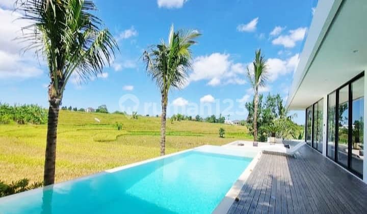 Leasehold 21 Years.. Luxury Villa With Paddie View At Area Jalan Veteran , Buduk Near Canggu ..15 Minutes To Pererenan Beach ,Batubolong Canggu And Echo Beach