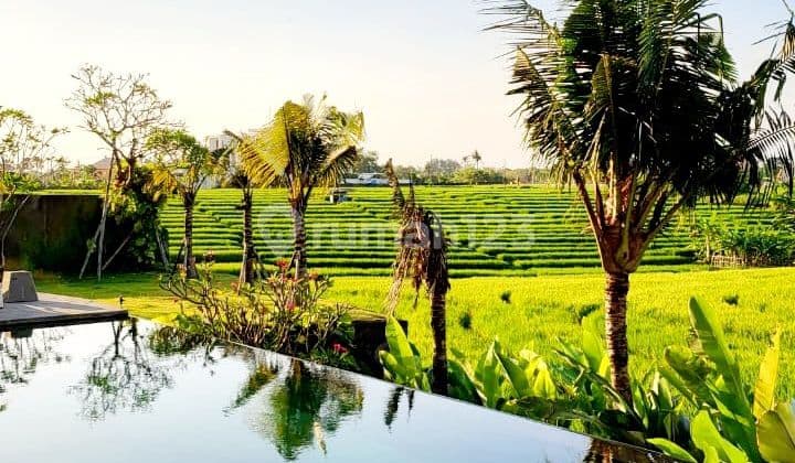 Luxury Villa With Paddy Rice Field View In A Cluster Onegate System Villa Complex At Cemagi Canggu..300 Meters To Mengening Beach