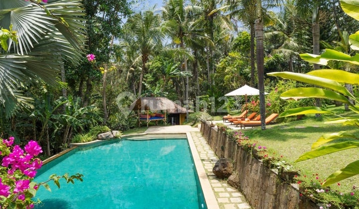 Luxury Villa Riverside With A Large Yard And Garden In Munggu Near Canggu... 20 Minutes To Luna Beach Club And Nuanu City... This Property Offers A Peaceful Retreat, Surrounded By Nature And The Calming Sounds Of The River.