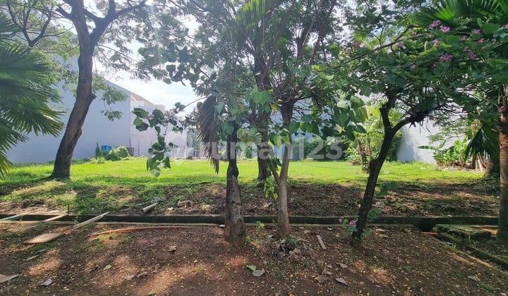 Kayara Plot Pik 1760M Adjoining, Boulevard Position, Rare Unit Hard to Find