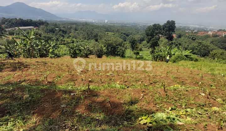 Jual Tanah Di Cileunyi Bandung