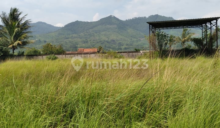 Tanah matang di nagreg bandung