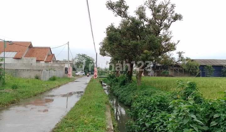Tanah Di Rancaekek Bandung