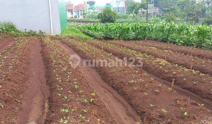 Jual Tanah Kavling Murah di Cileunyi