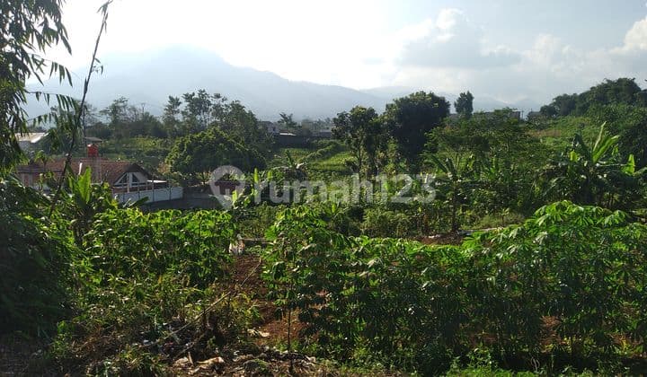 Jual Tanah Murah di Jatinangor Sumedang