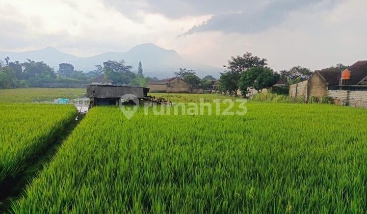 Jual Tanah di Cibiru Bandung
