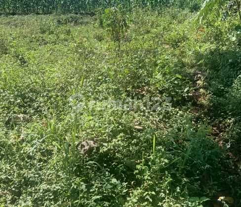 Jual Tanah di Tanjungsari Sumedang Jawa Barat